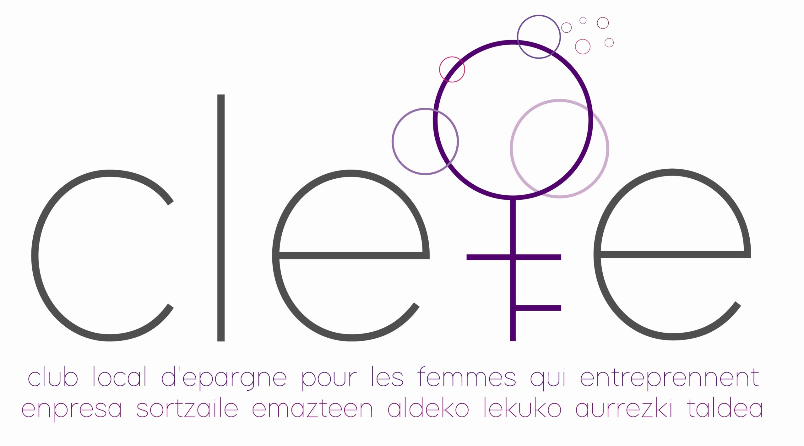 Les CLEFE (Clubs Locaux pour les Femmes qui Entreprennent)
